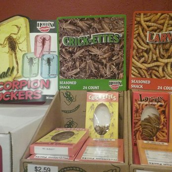Atomic Candy - Candy Stores Near Me - Denton, Texas