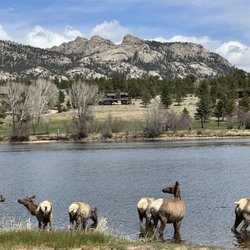 Purple Points Tour Company - Elk