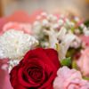 Zanotto's Willow Glen Market gift card