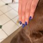 Photo of Fairy Nails and Spa
