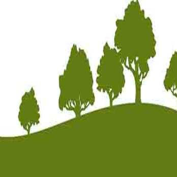 Delchester Tree Service - Tree Services Near Me - West Chester, Pennsylvania Delchester Tree Service - Tree Services Near Me - West Chester, Pennsylvania