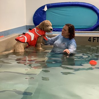 Aquatic Paws - Winnie and Lisa - Pet Services Near Me - Falls Church, Virginia