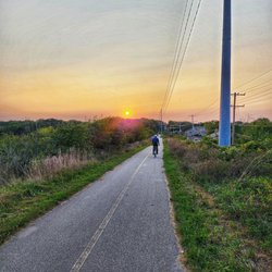 Trail