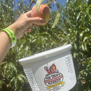 Von Thun Farms - First pick of the day! - Attraction Farms Near Me - Washington, New Jersey