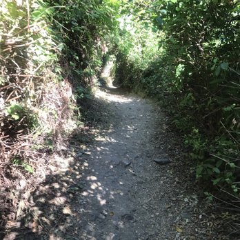 Tilden Regional Park - Pack rat trail - Parks Near Me - Berkeley, California