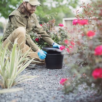 Green Balance Pest - Pest Control Near Me - Richmond, Texas Green Balance Pest - Pest Control Near Me - Richmond, Texas