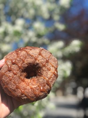 PVDonuts by null