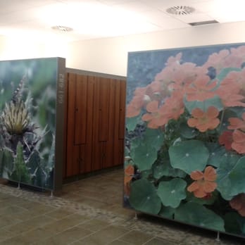 carpesol - Swimming Pools Near Me - Bad Rothenfelde, NI carpesol - Swimming Pools Near Me - Bad Rothenfelde, NI