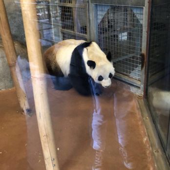 Memphis Zoo - Zoos Near Me - Memphis, Tennessee Memphis Zoo - Zoos Near Me - Memphis, Tennessee