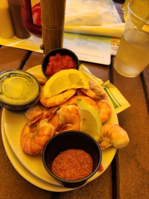 Coconuts on the Beach by null
