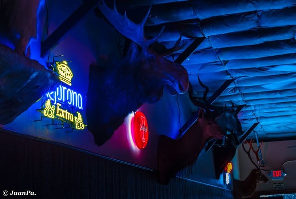 The Establishment by null