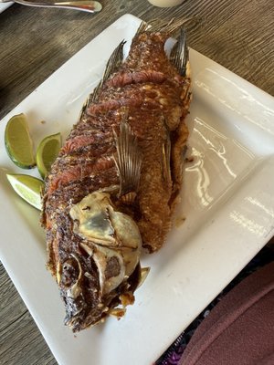 Tacos & Cerveza Pura Vida by null