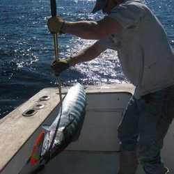 Carolina Girl Charters