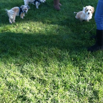 Cataldi Park - My Boyz kickn it with their cuz - Parks Near Me - San Jose, California Cataldi Park - My Boyz kickn it with their cuz - Parks Near Me - San Jose, California