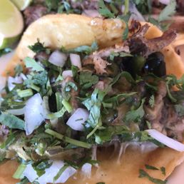 Alambre taco (bacon, cheese, sautéed onion and mild chiles with onion and cilantro garnish)