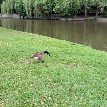 Lakeside Park - Parks Near Me - Dallas, Texas Lakeside Park - Parks Near Me - Dallas, Texas