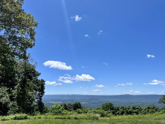 Majestic Limousine Service