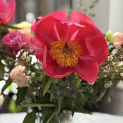 GG Flowers on Main - A week later