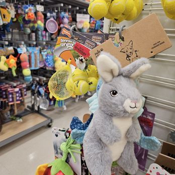 Marshalls - Cute bunny pet toy! - Department Stores Near Me - Houston, Texas