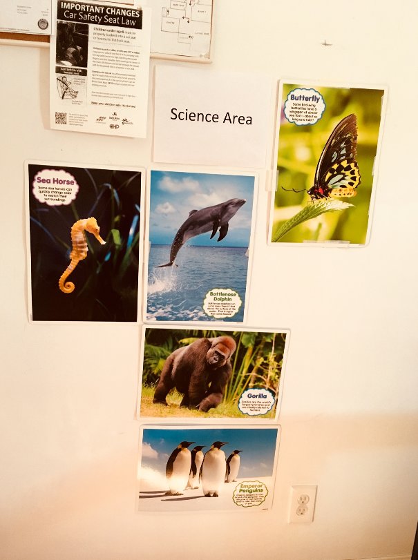 Learn & Play Family Daycare - childcare center in Gardena, CA