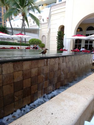 Acqualina Resort & Residences On The Beach by null