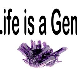 Life is a Gem - T-shirts