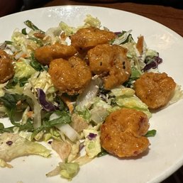 Firecracker Shrimp