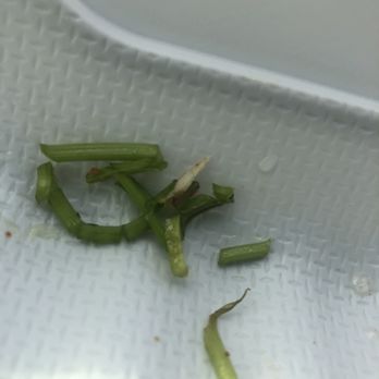 Las Gorditas Ricas - Pulled these cilantro stems out of 1 taco - Mexican Near Me - Salem, Oregon Las Gorditas Ricas - Pulled these cilantro stems out of 1 taco - Mexican Near Me - Salem, Oregon