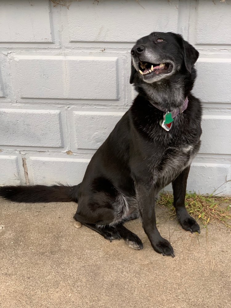 TRAINING WITH GRACE Updated May 2024 Request Consultation 12