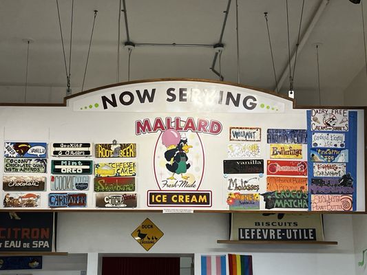 Mallard Ice Cream by null