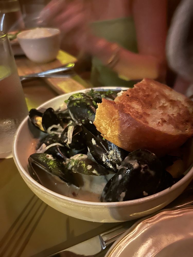 Social spots from BeetleCat