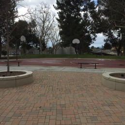 Short Court Basketball