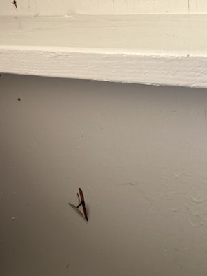 Golden State Roofing Logo