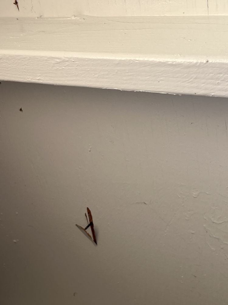 Slide of Golden State Roofing