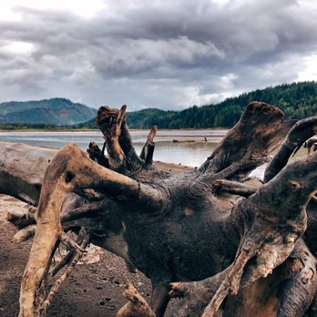 Alder Lake Park - Parks Near Me - Eatonville, Washington Alder Lake Park - Parks Near Me - Eatonville, Washington