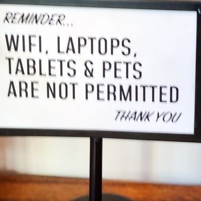 Little Canal by null