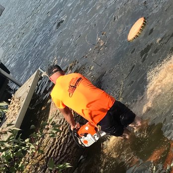 Home Grown Tree Care - Tree Services Near Me Home Grown Tree Care - Tree Services Near Me