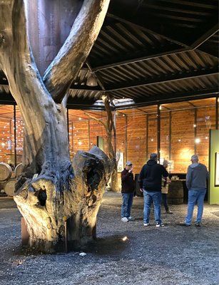 Bruma Valle de Guadalupe by null