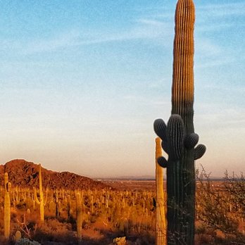 Picacho Peak State Park - View from inside the park - Parks Near Me
