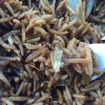 Kabul Kabab House - Fried roach. Yummy!!! Free of charge. - Afghan Near Me - Flushing, New York