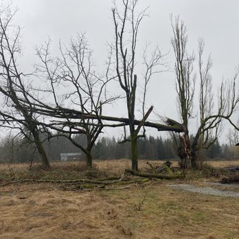 Mountain View Tree Service - Tree Services Near Me Mountain View Tree Service - Tree Services Near Me
