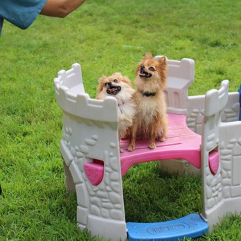 Elizabeth Ann Kennels - Pet Sitting Near Me - Stirling, New Jersey Elizabeth Ann Kennels - Pet Sitting Near Me - Stirling, New Jersey