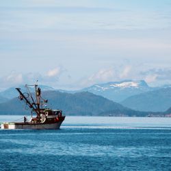 Lu-Lu Belle Glacier Wildlife Cruises