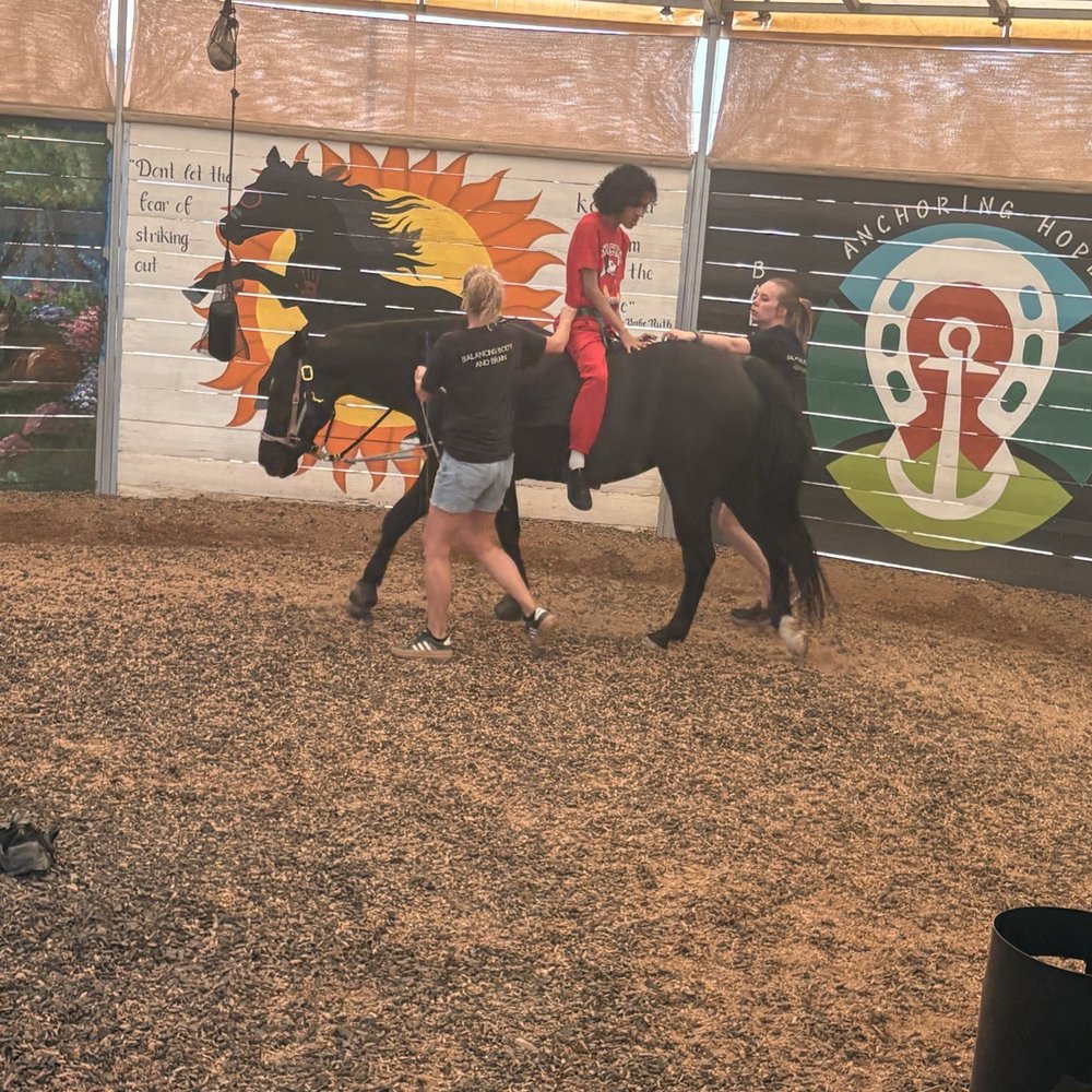 Anchoring Hope - Animal Physical Therapy Near Me - Phoenix, Arizona Anchoring Hope - Animal Physical Therapy Near Me - Phoenix, Arizona