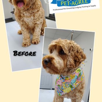 Pet-Agree Professional Pet Services - Pet Groomers Near Me - Jasper, Indiana Pet-Agree Professional Pet Services - Pet Groomers Near Me - Jasper, Indiana