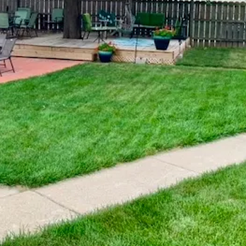 TruGreen Lawn Care - Take on backyard mosquitoes with TruGreen's mosquito control in North Milwaukee, WI, and nearby Brown Deer. - Tree Services Near Me - Milwaukee, Wisconsin TruGreen Lawn Care - Take on backyard mosquitoes with TruGreen's mosquito control in North Milwaukee, WI, and nearby Brown Deer. - Tree Services Near Me - Milwaukee, Wisconsin