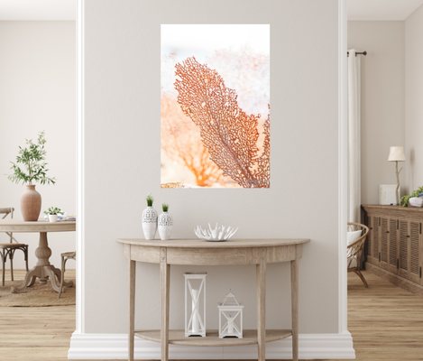 Latitudes Gallery - Ventura by null