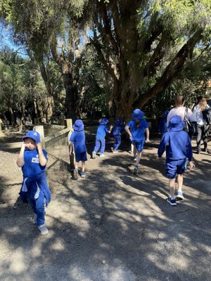 Caversham Wildlife Park by null