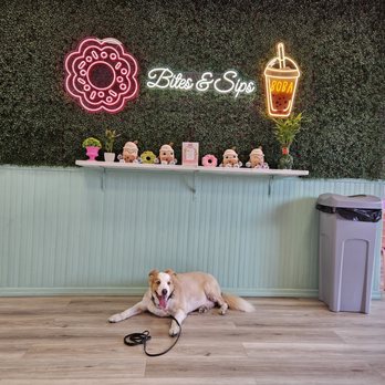 Bites & Sips - a dog laying on the floor - Bubble Tea Near Me - Brooklyn, New York