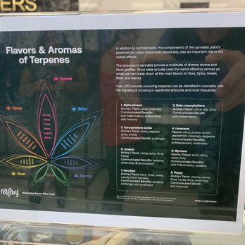 Strain Stars - Informative. - Cannabis Dispensaries Near Me - Farmingdale, New York Strain Stars - Informative. - Cannabis Dispensaries Near Me - Farmingdale, New York